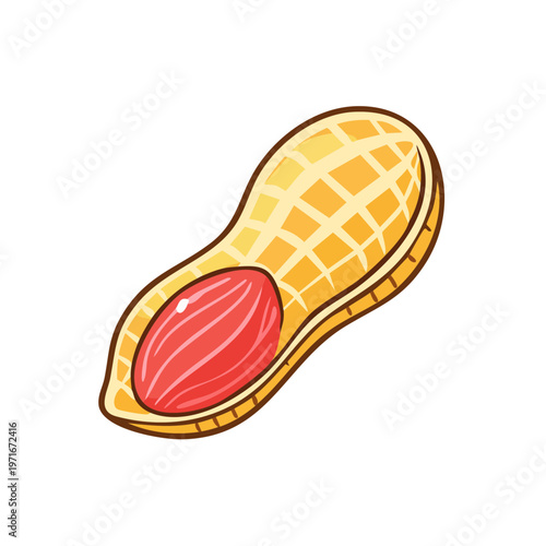 Stylized illustration of a peanut with one half opened, revealing the red-skinned nut