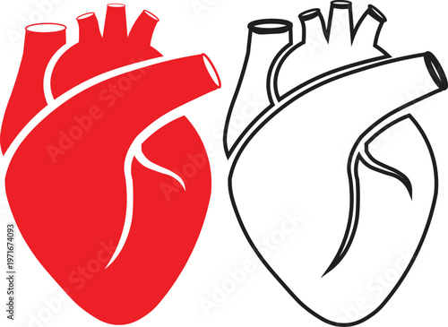 Anatomical human heart vector icons, red silhouette and black line art medical illustrations, cardiology and healthcare design elements