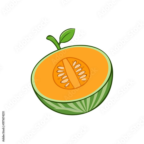 Healthy Cantaloupe Fruit Half with Seeds and Stem Slice
