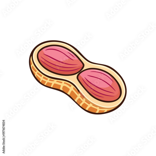 Open peanut with two pink kernels inside and shell isolated on white background cartoon style