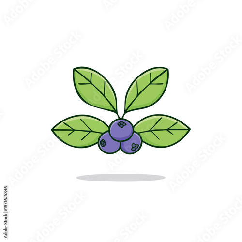Vibrant blueberries with green leaves isolated on white background in a simple cartoon style