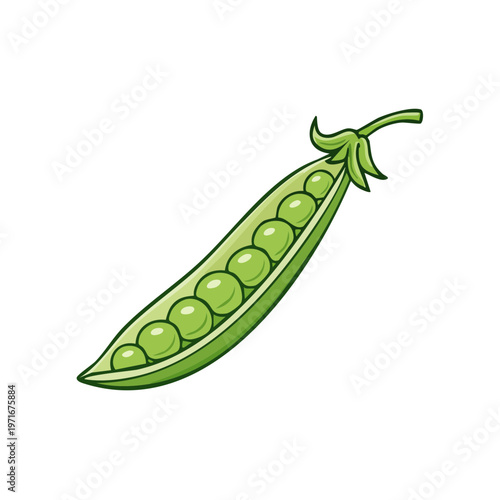 Open green pea pod revealing healthy, round green peas inside, healthy food illustration