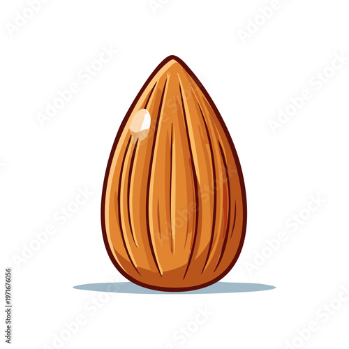 Single Almond Nut Isolated Illustration Healthy Snack Ingredient for Food Photography