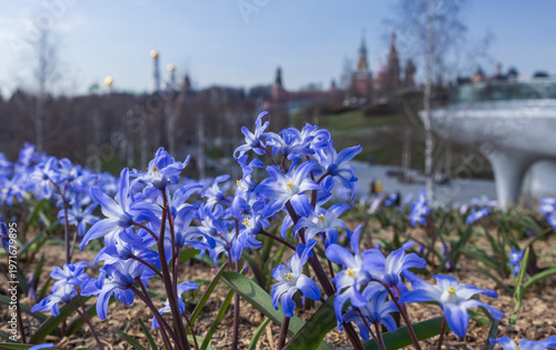 Spring flowers in the park near the Moscow Kremlin and picturesque view of the Kremlin featuring its iconic golden domes and towers against a vibrant sky, epitomising the historical and architectural 