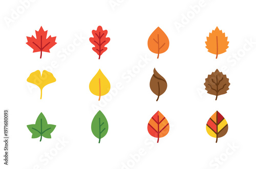Collection of stylized autumn leaves in various shapes and colors