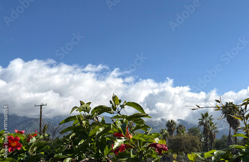 Springtime Landscape in Southern California