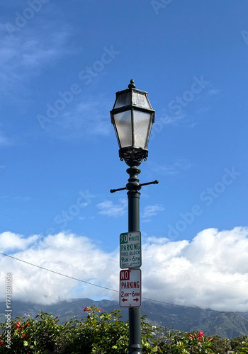 Springtime Landscape in Southern California with Street Lantern