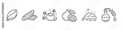 Collection of hand-drawn icons representing natural ingredients and scientific extraction processes