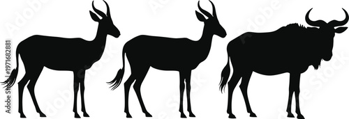 Silhouettes of Antelope and Wildebeest gazelle animal