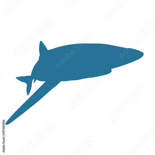 Blue Shark Bold Colour Silhouette