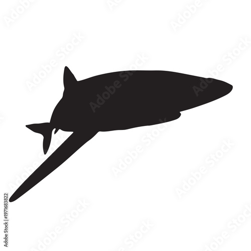 Blue Shark Bold Shadow Stencil