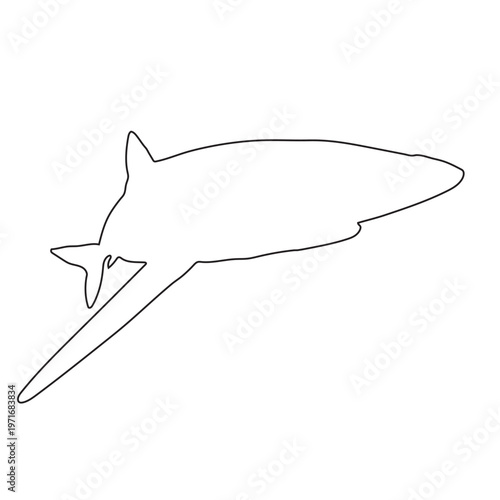 Blue Shark Fine Line Drawing