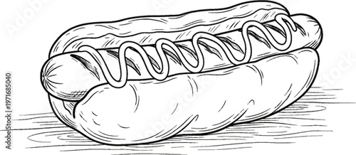 hand drawn illustration of a hot dog
