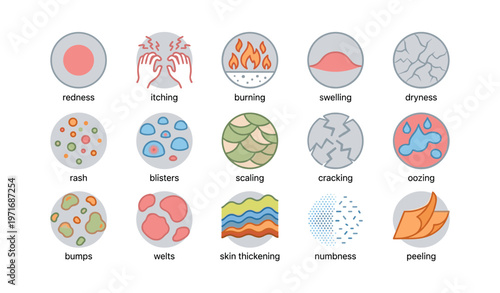 Common skin condition symptoms: redness, itching, blisters, and more illustrated