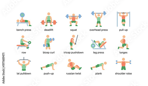Illustrated exercise guide: strength training and weightlifting with barbells and dumbbells