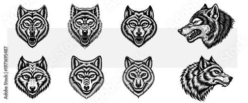 Wolf head collection, snarling timber wolf faces, vintage woodcut engraving set, predator mascot icons, wildlife tattoo design and heraldry elements