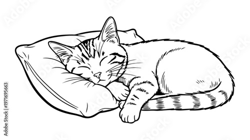 Cat sleeping on a soft pillow, fluffy kitten resting comfortably, domestic pet napping at home