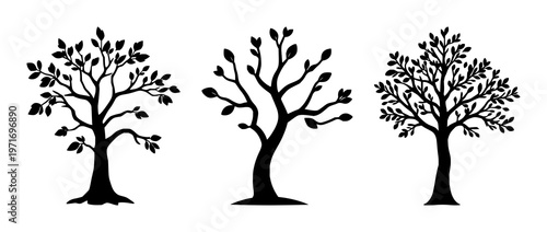 Money tree icon set with solid black icon on white background featuring passive income, finance, investment with icons and graphics