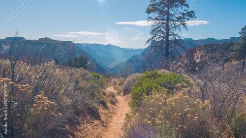 Footage of the scenic East Mesa Trail in Zion National Park, Utah. The trail goes through a ponderosa pine forest on the upper east side of Zion and leads to Observation Point, offering expansive view