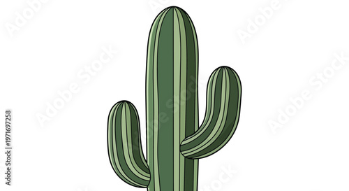 A large green cactus with two smaller arms growing from its sides in a vector illustration design