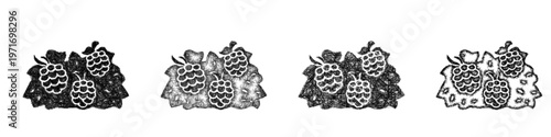 Sketch blackberry bush icon design set