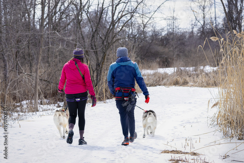 Promeneurs de chiens Husky, jour, hiver, horizontal
