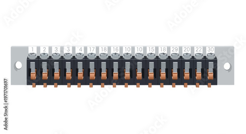 Electrical Terminal Block with Multiple Connectors.