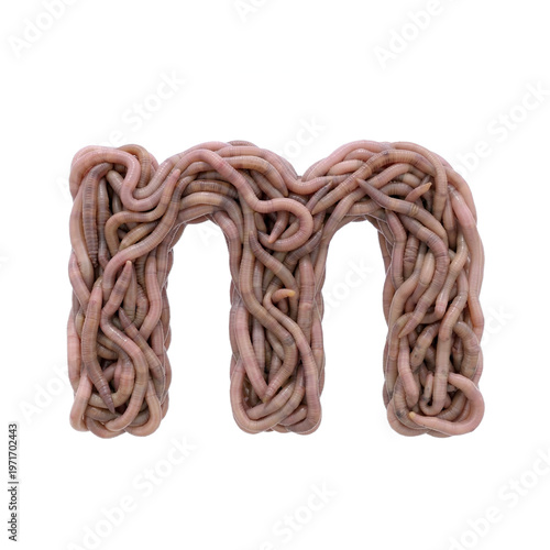 earthworm letter M - Small 3d earthworm font isolated on white background. This alphabet is perfect for creative illustrations related to gardening, compost, horror concept. Generative AI