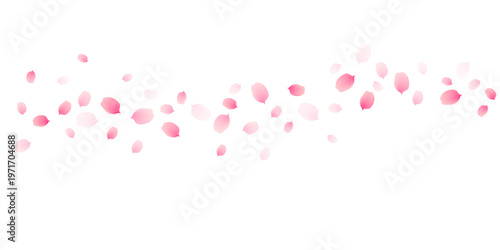 Sakura cherry petals, pink apricot flowers falling border. Cute spring japanese floral vector background