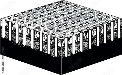 Black and white lawn aeration diagram showing soil core holes and root zone