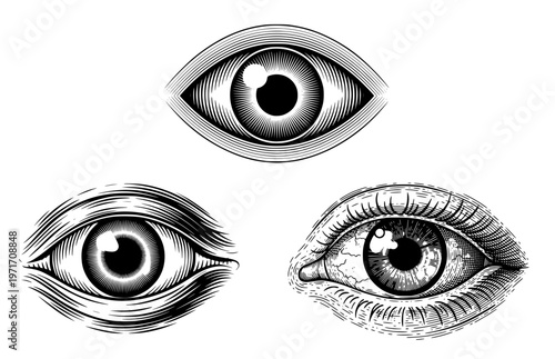 Human eye set, vintage engraving eyeballs, mystical vision icons, anatomical eye vector, retro woodcut style sketches, esoteric observation illustrations