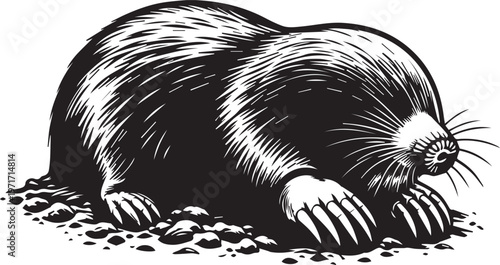 Mole with large claws digging in dirt illustration