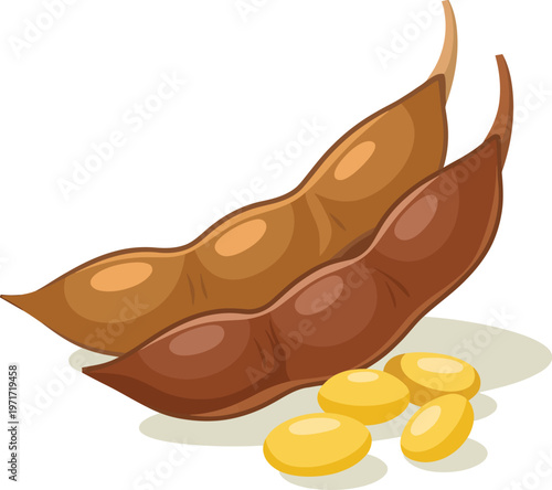 Illustration of a broken soybean pod revealing several round yellow soybeans