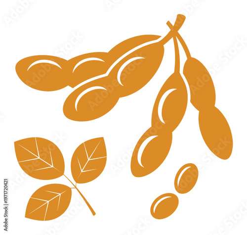 Illustration of soybeans pods leaves and individual beans in orange hues