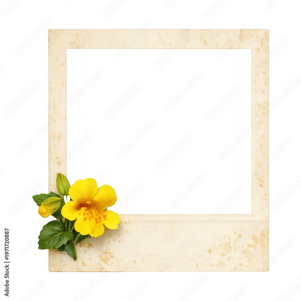 Fototapeta premium PNG Vintage floral photo frame