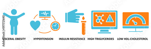 Symptoms of Metabolic Syndrome icon set Aqua Orange Flat concept for Hypertension, Insulin Resistance, High Triglycerides, Low HDL-Cholesterol, Visceral Obesity