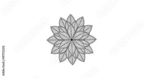 Intricate floral mandala design pattern.