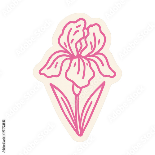 PNG Pink iris flower illustration.