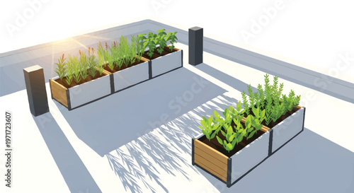 modern urban garden planters on rooftop or balcony with green plants