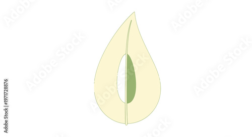 Pistachio nut shell with green kernel inside.