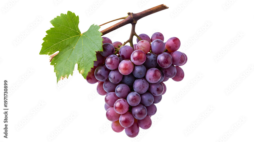 Fototapeta premium Purple grapes bunch with green leaf isolated on a transparent background