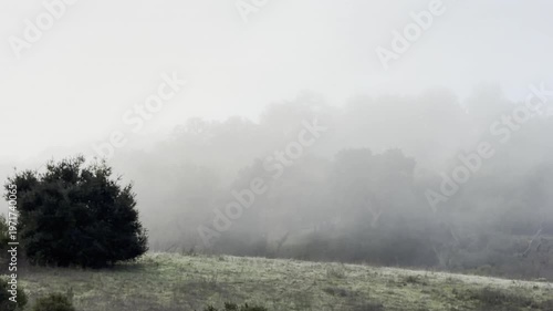 Morning fog over a protected area with an unrecognizable hiker in the distance