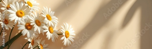 White daisy flowers cluster against a soft beige background. Gentle sunlight casts dappled shadows, creating a serene natural aesthetic. Plenty of copy space for text.