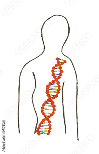 Silhouette d'un homme avec son ADN