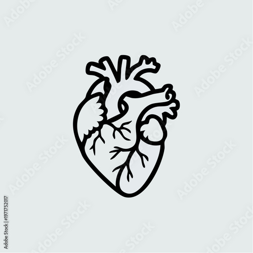 black line drawing of a human heart anatomy