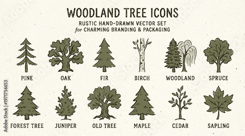 Hand drawn woodland tree icons set featuring pine oak fir birch juniper maple and more in rustic style for branding