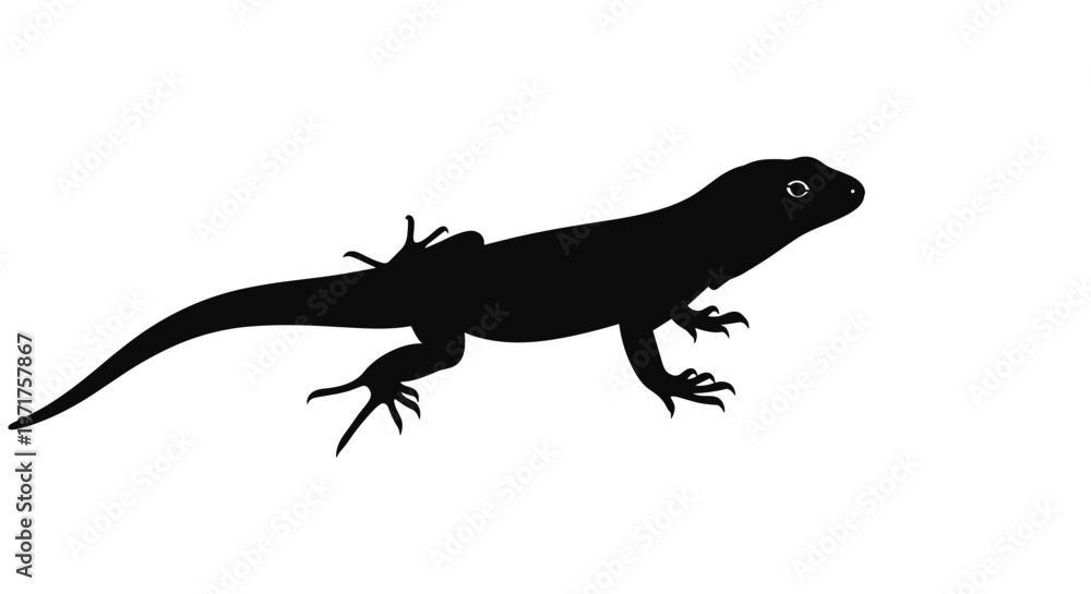 Fototapeta premium Black silhouette of a lizard.