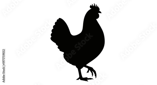 Black Silhouette of Rooster Bird.