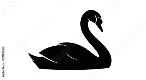 Black Swan Silhouette Side View 1.