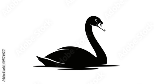 Black Swan Silhouette Side View.